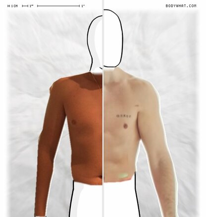 Torso Comparison