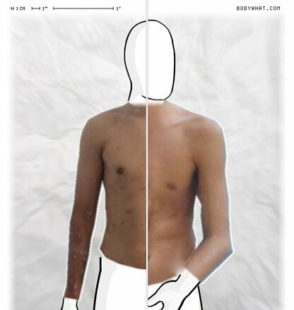 Torso Comparison