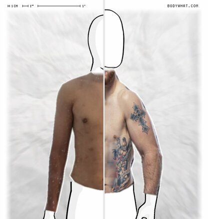 Torso Comparison