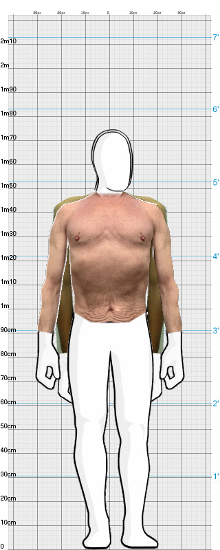 Full Size Comparison