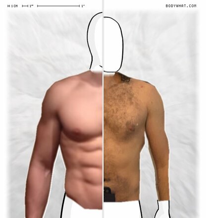 Torso Comparison