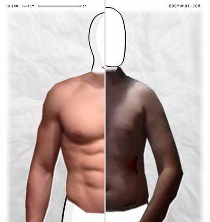 Torso Comparison