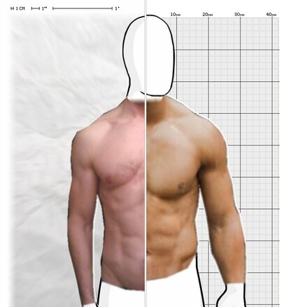 Torso Comparison