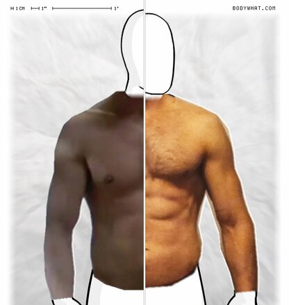 Torso Comparison