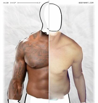 Torso Comparison