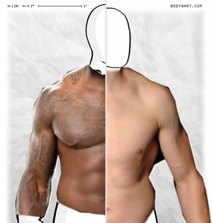 Torso Comparison