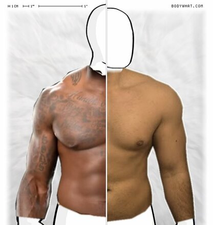 Torso Comparison