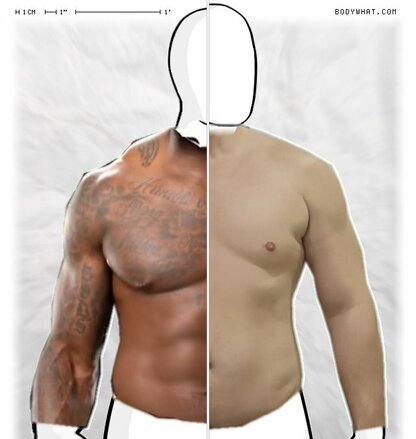 Torso Comparison