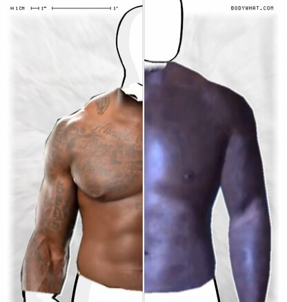 Torso Comparison