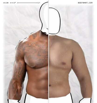 Torso Comparison