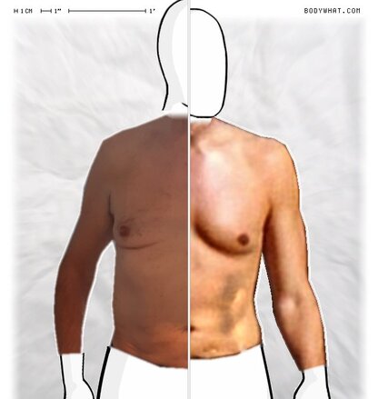 Torso Comparison