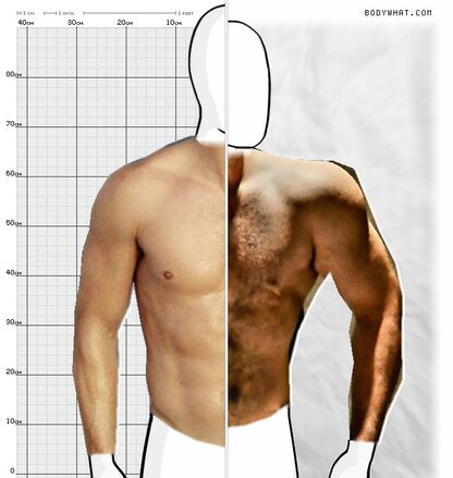 Torso Comparison