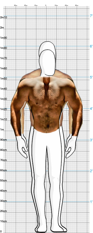 Full Size Comparison
