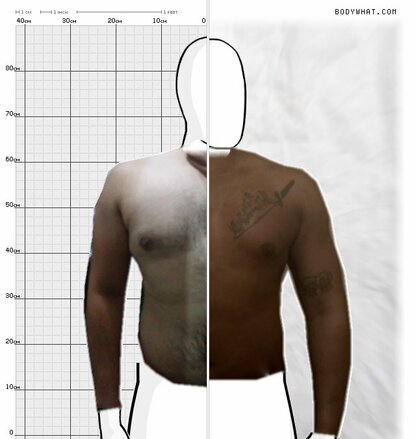 Torso Comparison