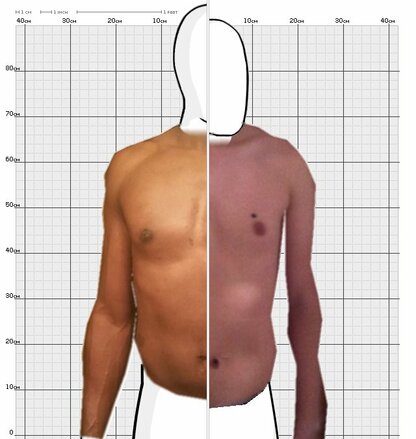 Torso Comparison