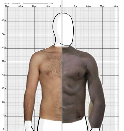 Torso Comparison