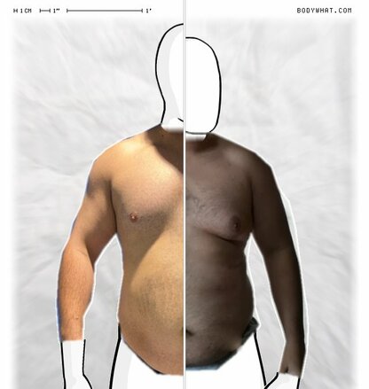 Torso Comparison