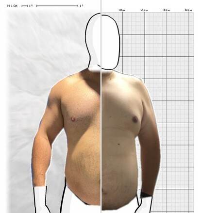 Torso Comparison