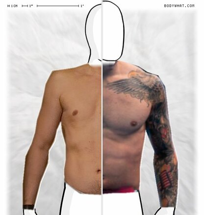 Torso Comparison