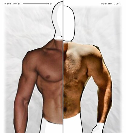 Torso Comparison