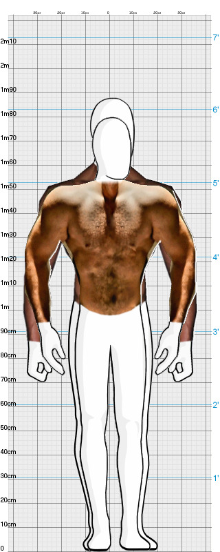 Full Size Comparison
