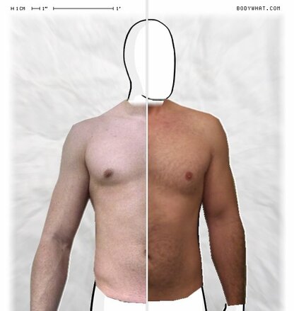 Torso Comparison