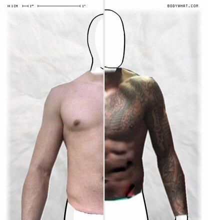 Torso Comparison