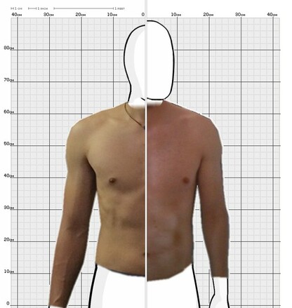 Torso Comparison