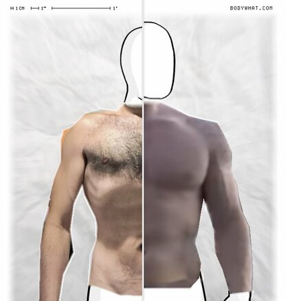 Torso Comparison