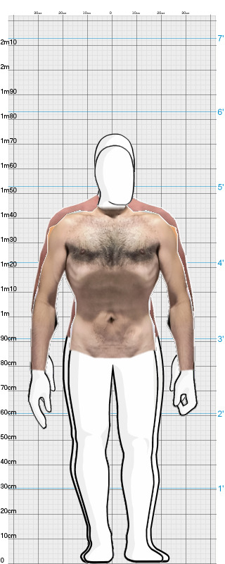 Full Size Comparison