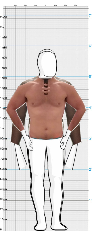 Full Size Comparison