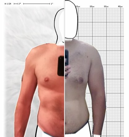 Torso Comparison