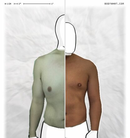 Torso Comparison