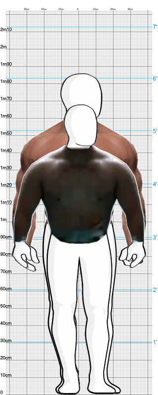 Full Size Comparison