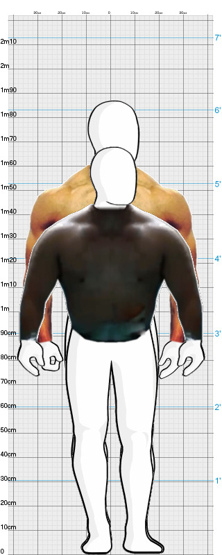 Full Size Comparison