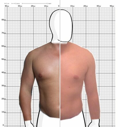 Torso Comparison