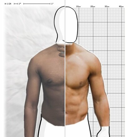 Torso Comparison