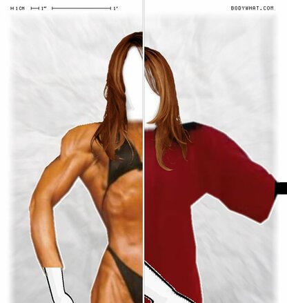 Torso Comparison