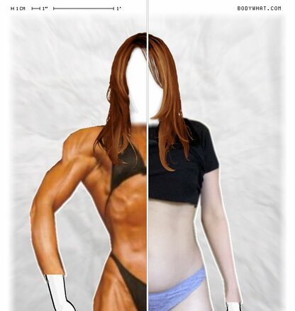 Torso Comparison