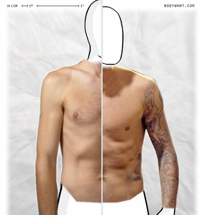 Torso Comparison