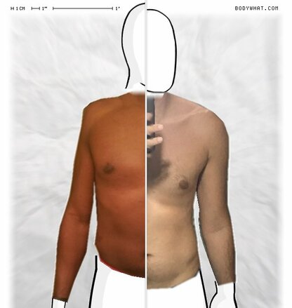 Torso Comparison