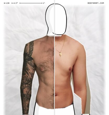 Torso Comparison