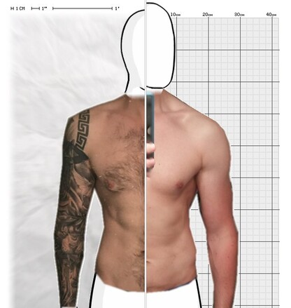 Torso Comparison