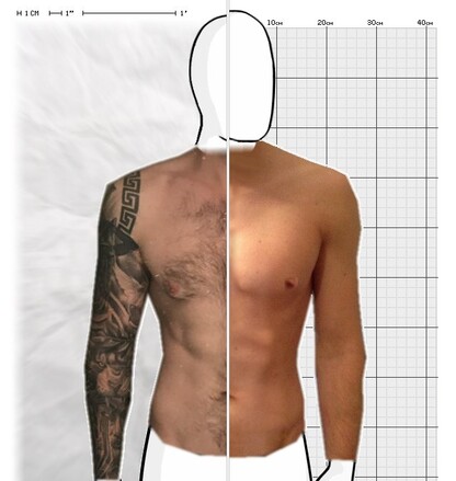 Torso Comparison