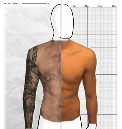 Torso Comparison