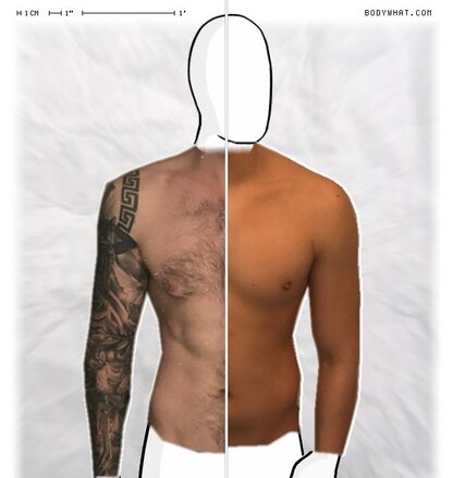 Torso Comparison