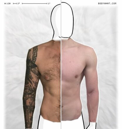 Torso Comparison