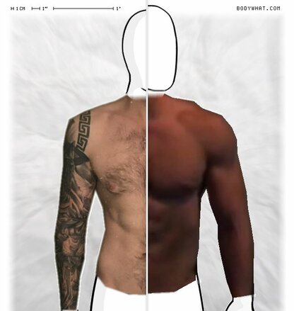 Torso Comparison