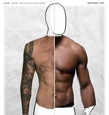 Torso Comparison