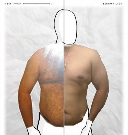 Torso Comparison